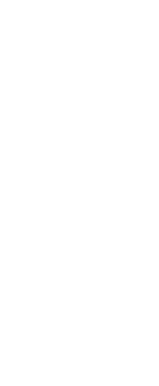 Fikirişler